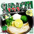 徳島ぶっかけすだちうどん２人前　ＳＢ－１１７の写真