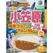 画像2: るるぶ×Ｈａｃｈｉ　東京　小笠原　南国フルーツチキンカレー中辛１食 (2)