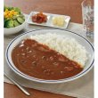 画像3: ヨコスカ　スカジャンカレー２００ｇ（１食） (3)